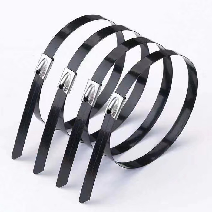 噴塑不銹鋼扎帶